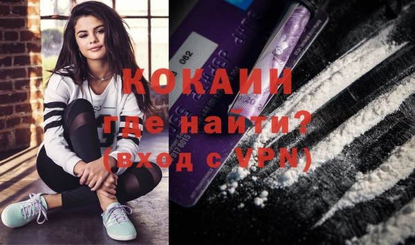 мдпв Верея